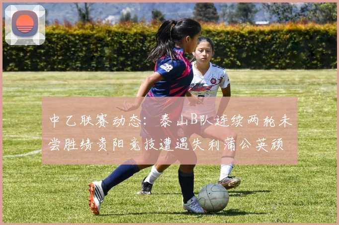 中乙联赛动态：泰山B队连续两轮未尝胜绩贵阳竞技遭遇失利蒲公英顽强战平