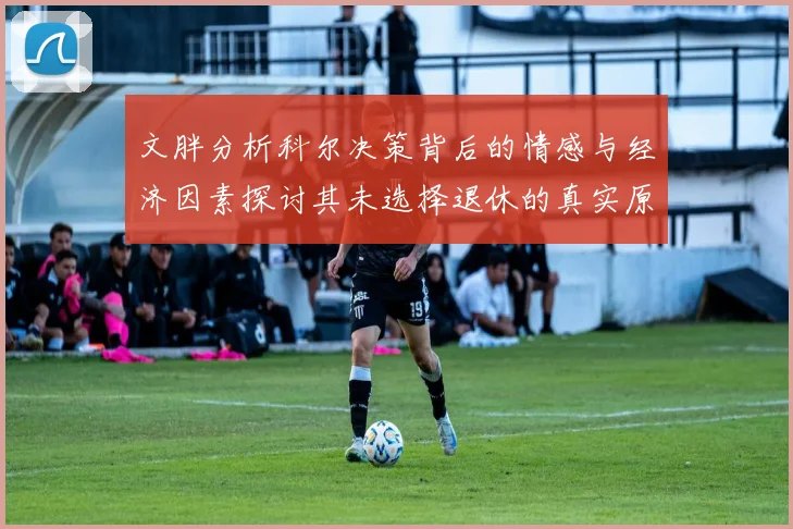 文胖分析科尔决策背后的情感与经济因素探讨其未选择退休的真实原因